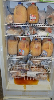 We sell apple cyder, eggs, and pork in season and its all VERY organic!